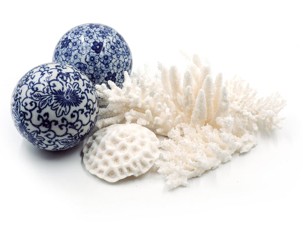 Little Wonders Coral Assortment Sampler Packs